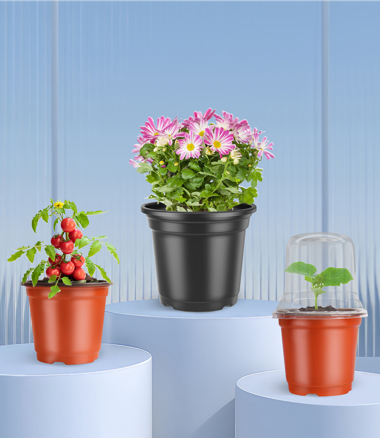 Nursery Pots Series